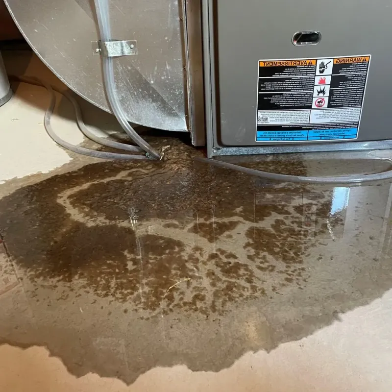 Pipe Burst and Leak Restoration in Clinton, OK